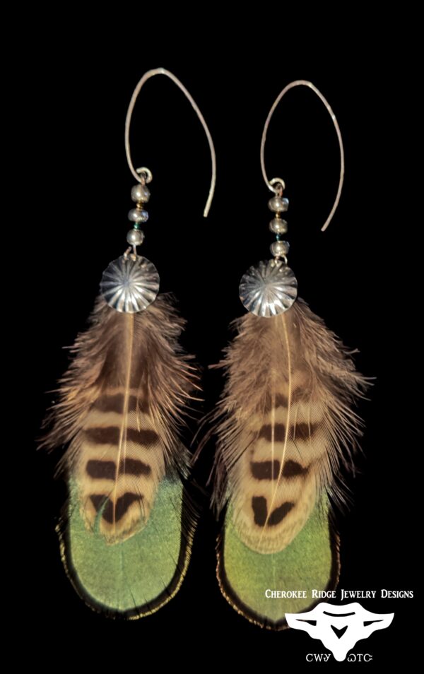 Lady Amherst Pheasant Feather Earrings